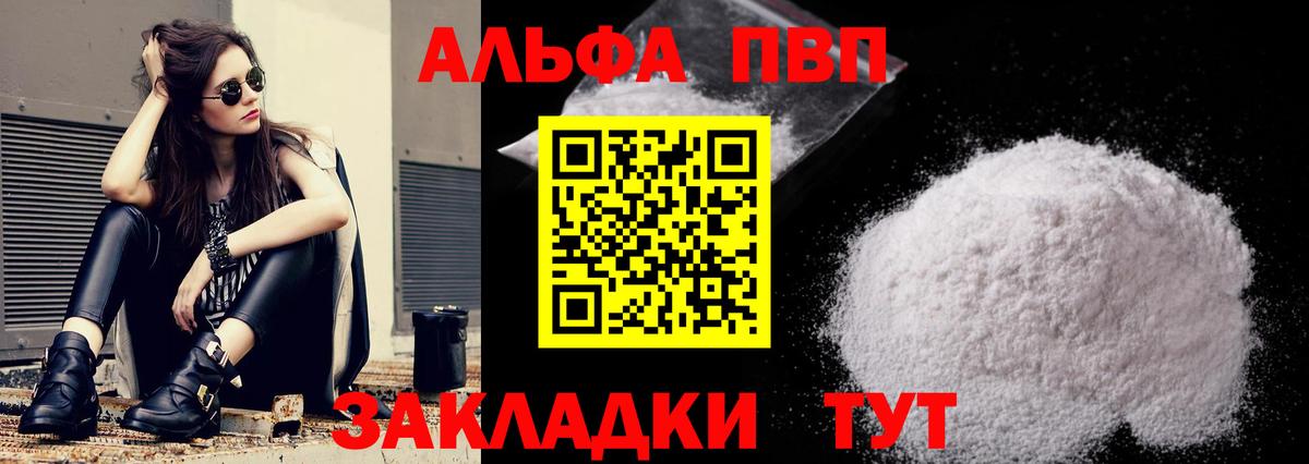 Alfa_PVP СК Сосновый Бор