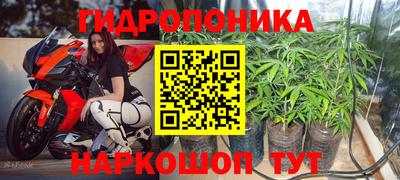 гидра Новодвинск