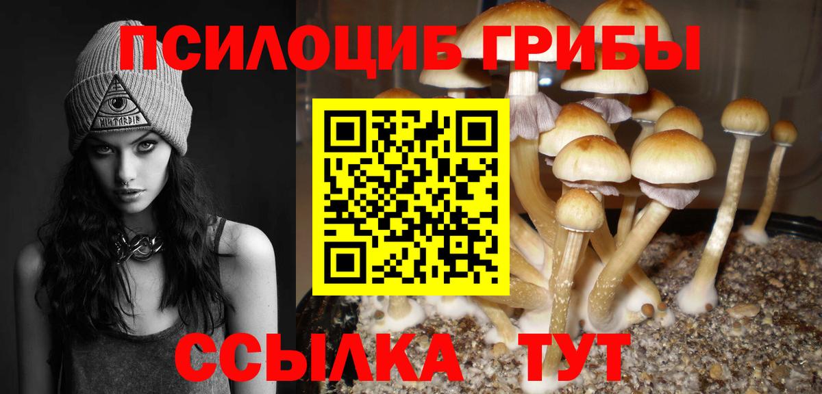 Сосновый Бор  Галлюциногенные грибы Psilocybe  как найти наркотики  Вход с VPN 