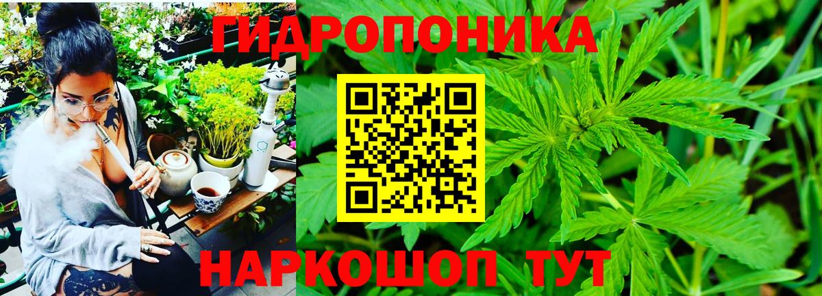 Бошки Шишки индика Сосновый Бор